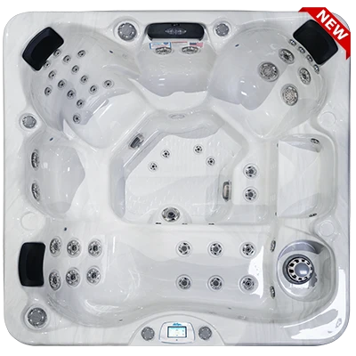 Avalon-X EC-849LX hot tubs for sale in Rockhill